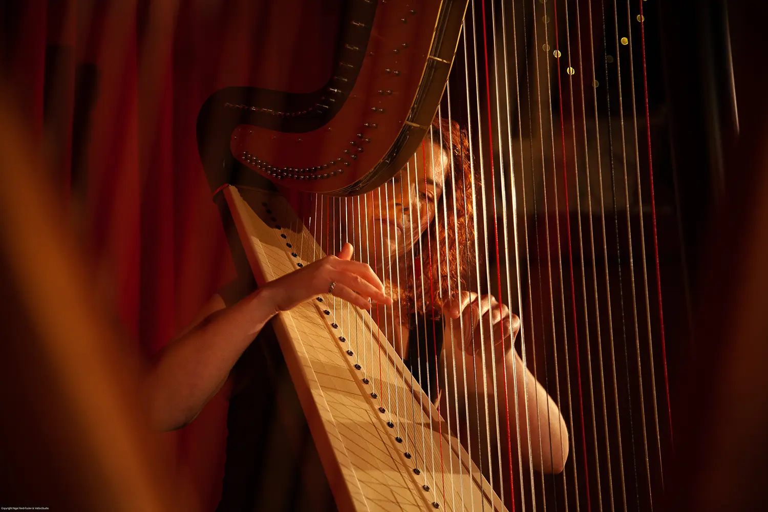 Contemporary Harpist